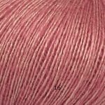 16 Gylden rosa