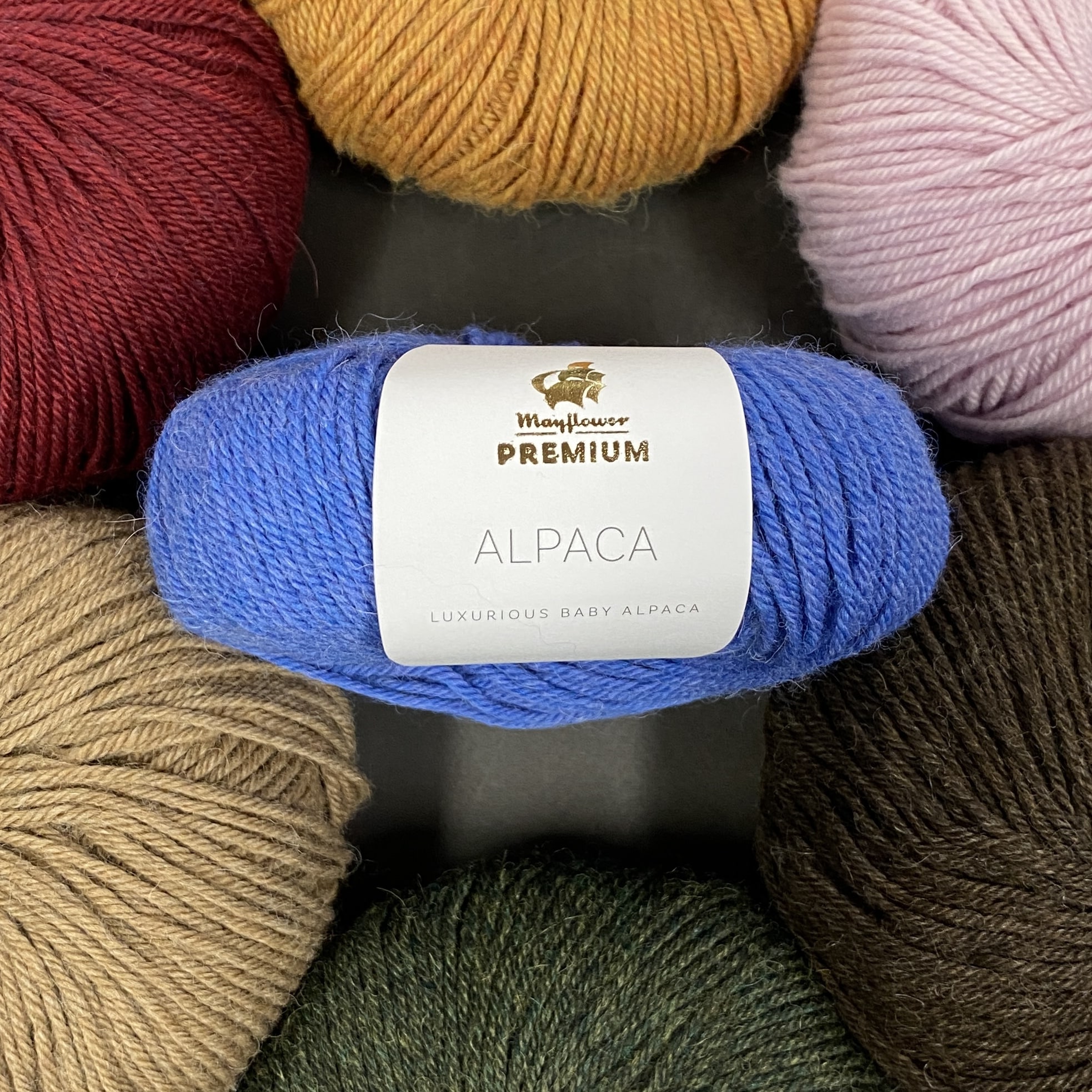PREMIUM Alpaca